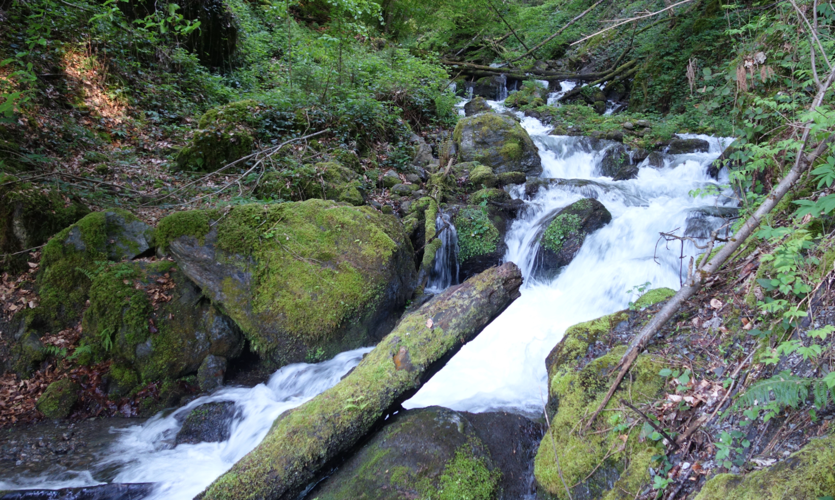 Les Photos des Millières