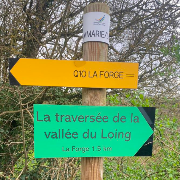 Image par défaut