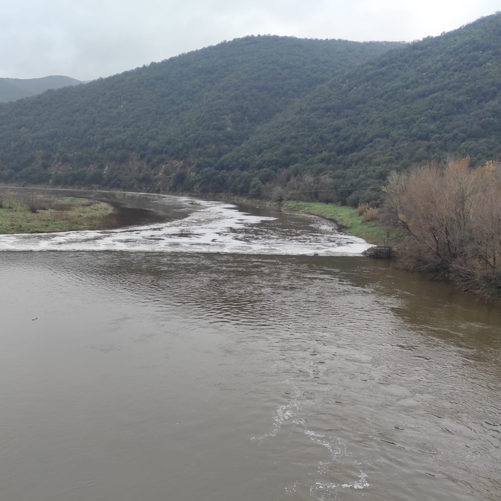 De la pluie, enfin !