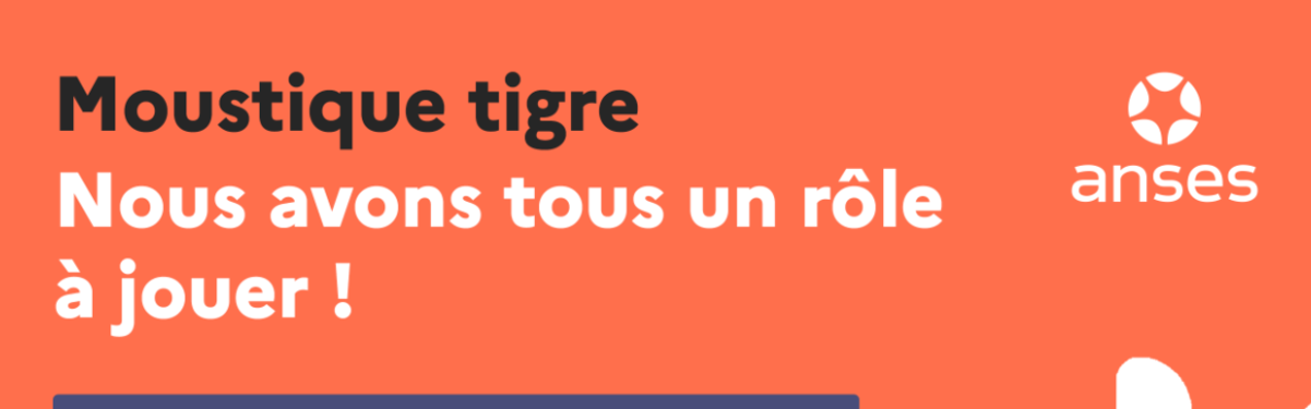 Image par défaut