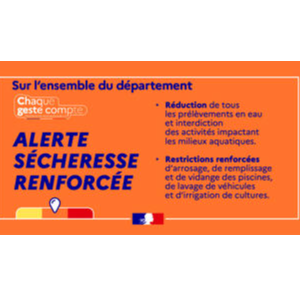 Image par défaut