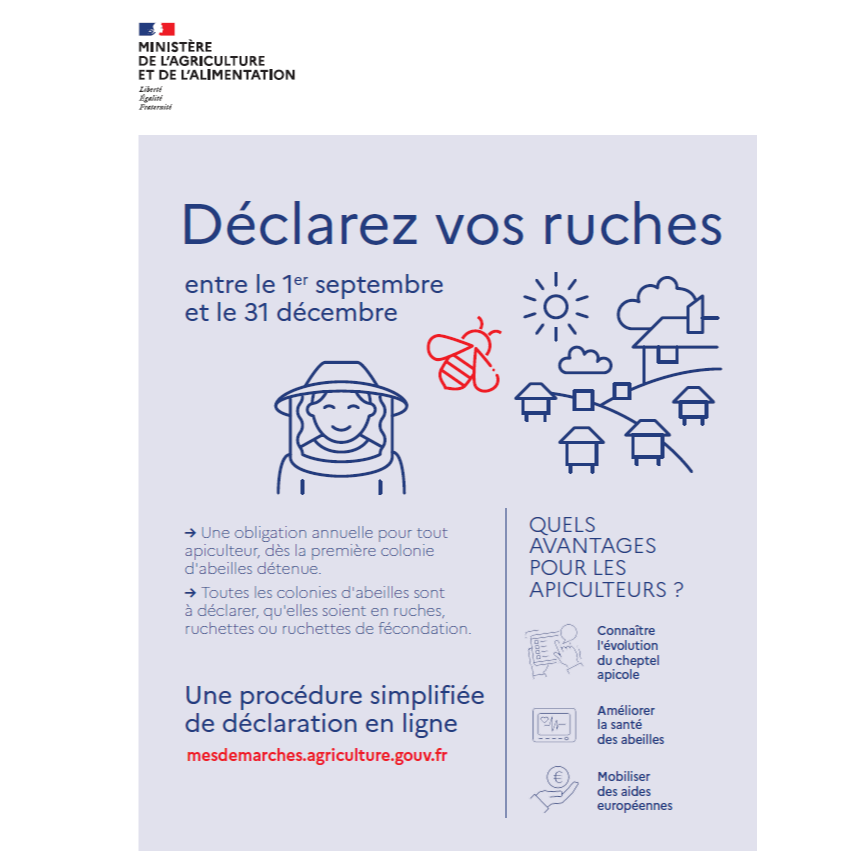Image par défaut