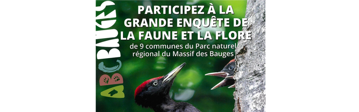 Image par défaut