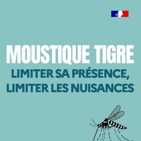 Image par défaut