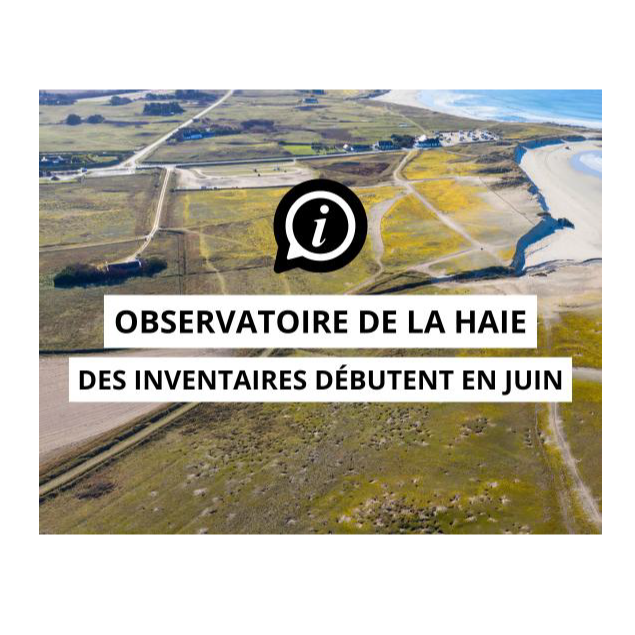 Image par défaut