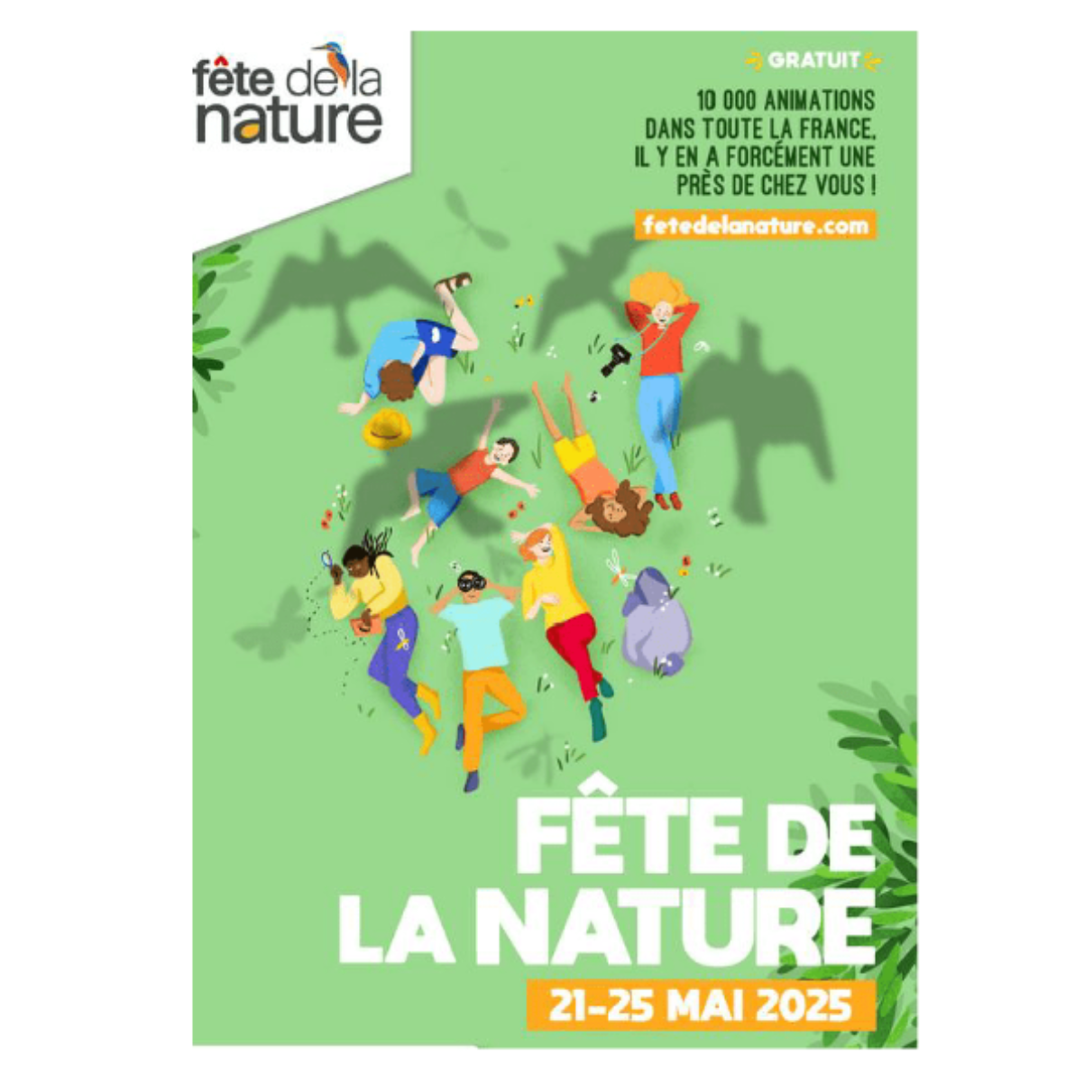 Image par défaut