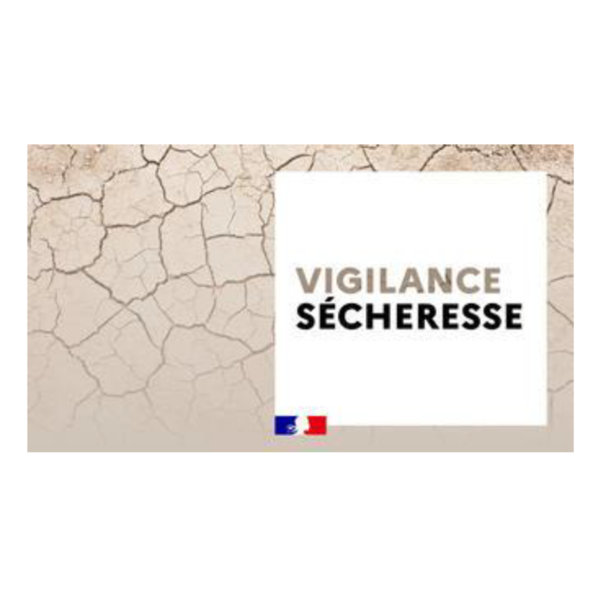 Image par défaut