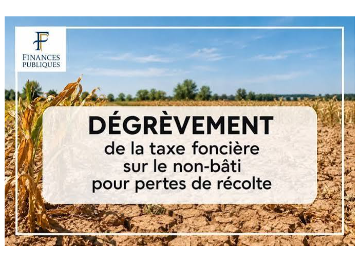 Image par défaut