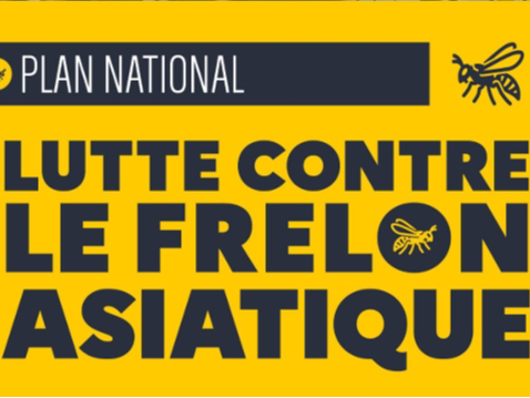 Image par défaut
