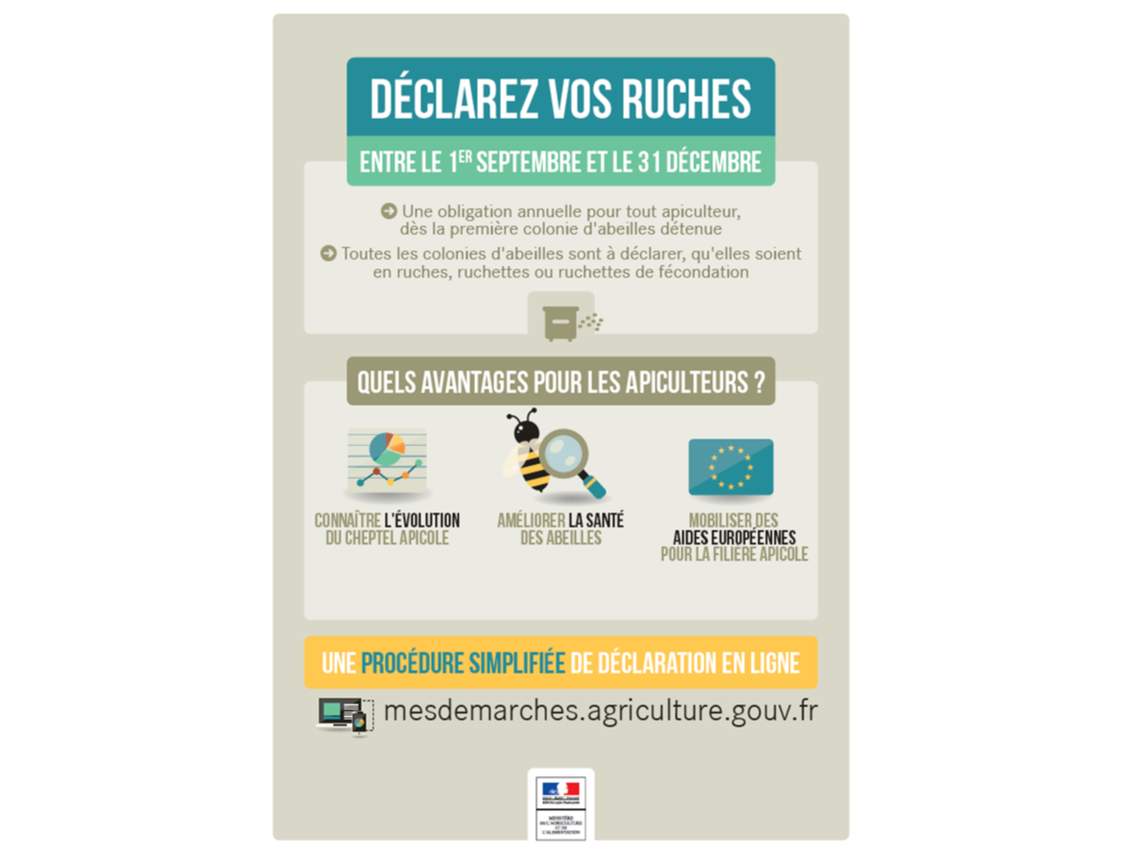 Image par défaut