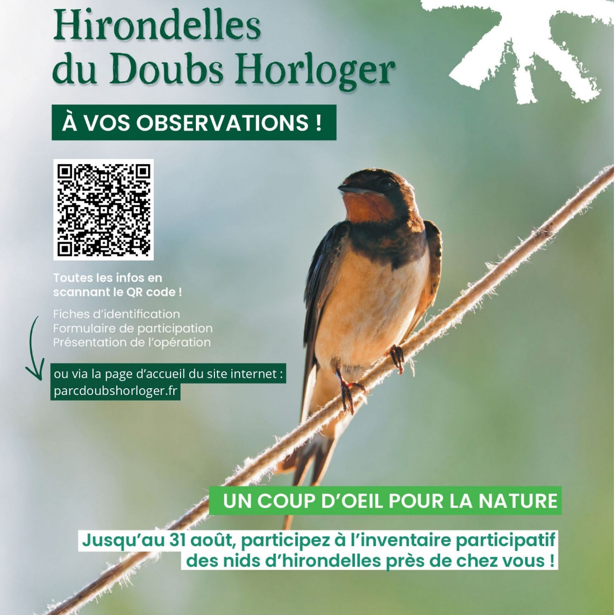 Image par défaut