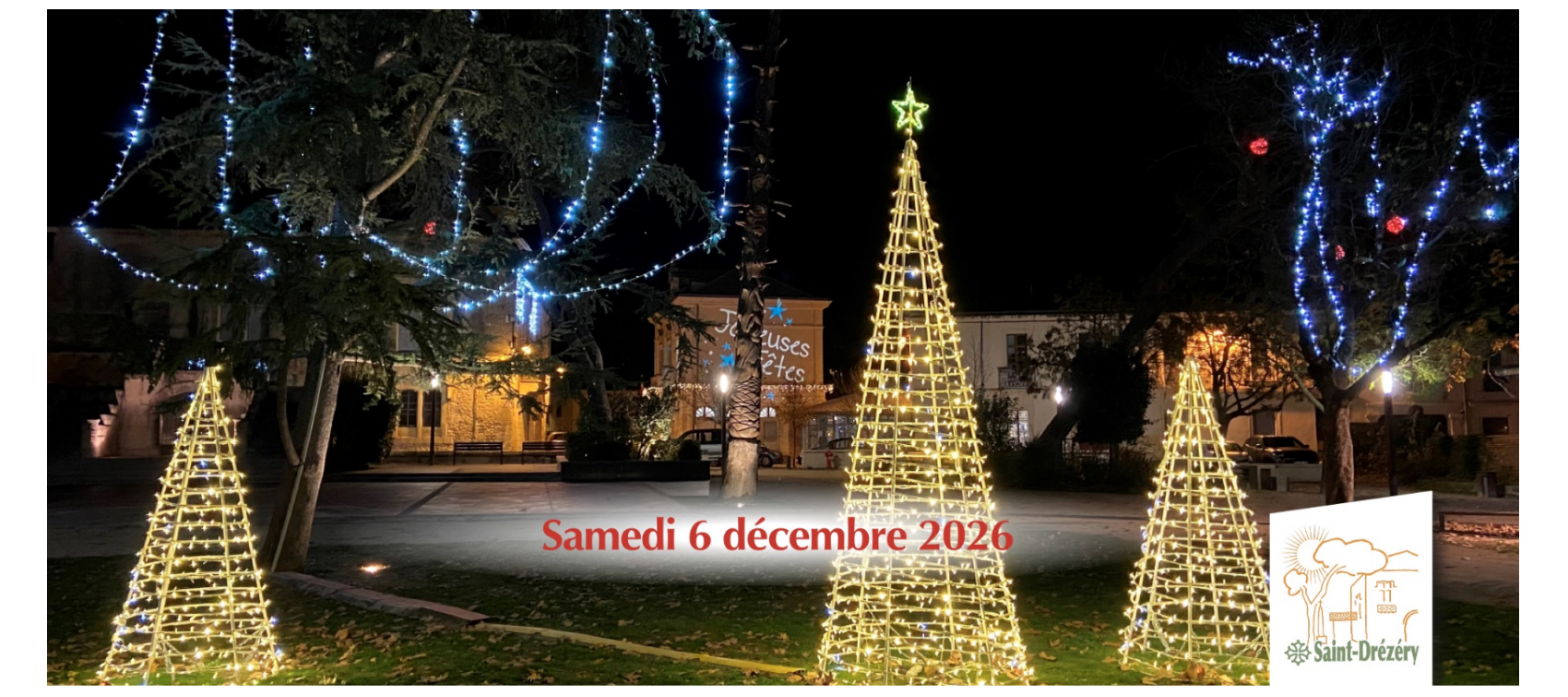 Illuminations dans le parc