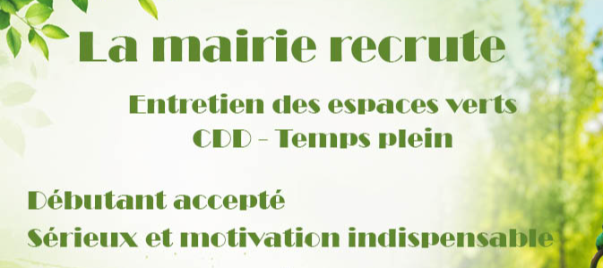 Job d'été
