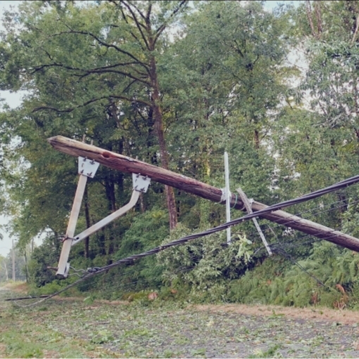Image par défaut