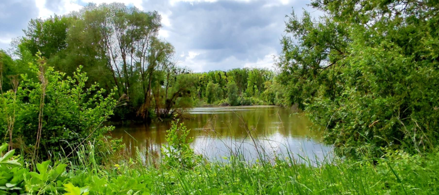 Bienvenue à Bernes-sur-Oise !