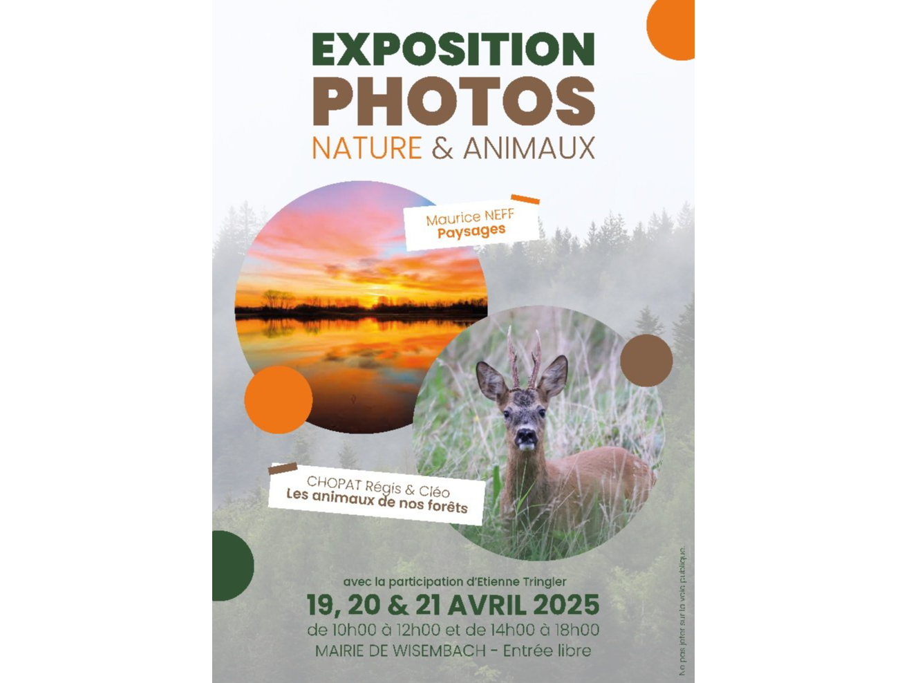 Image par défaut