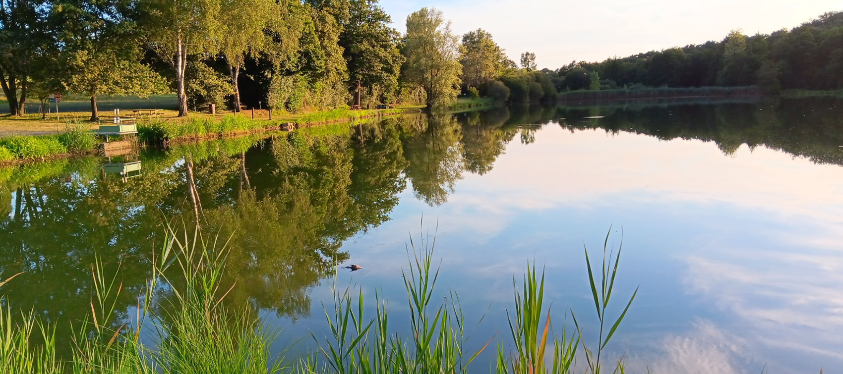 Etang
