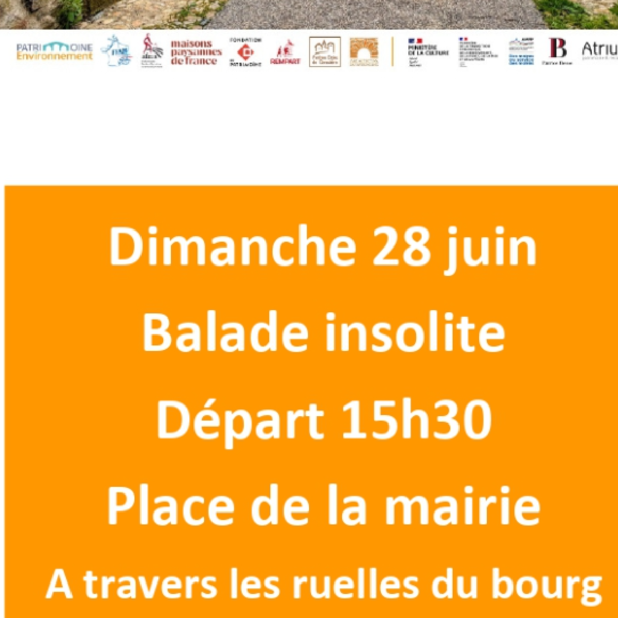 Image par défaut