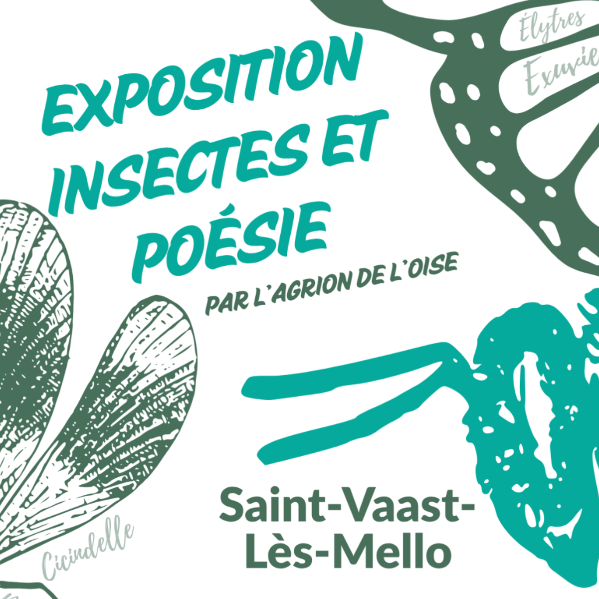 Image par défaut