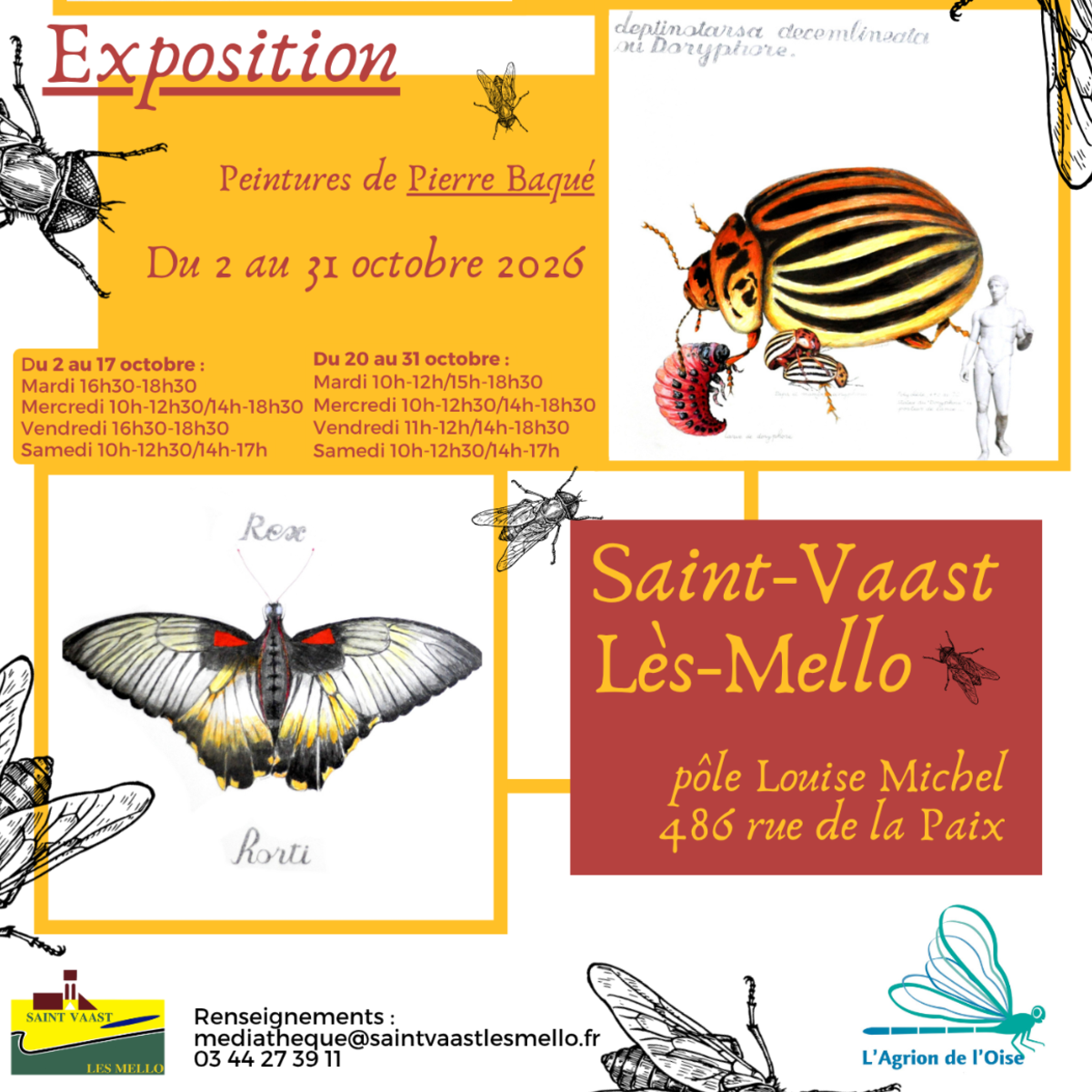 Exposition insectes