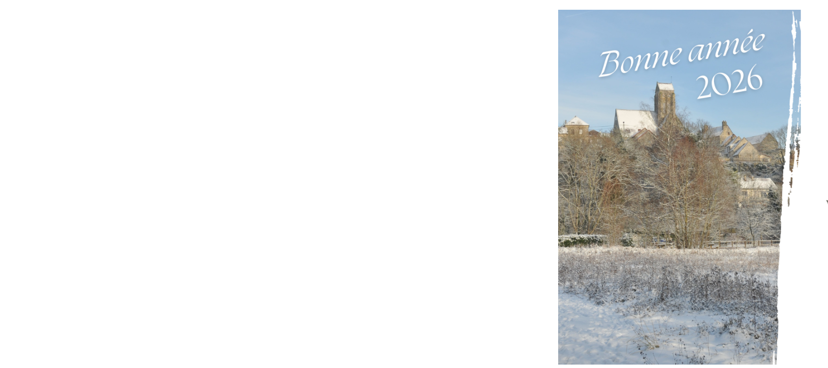 Meilleurs voeux 2026