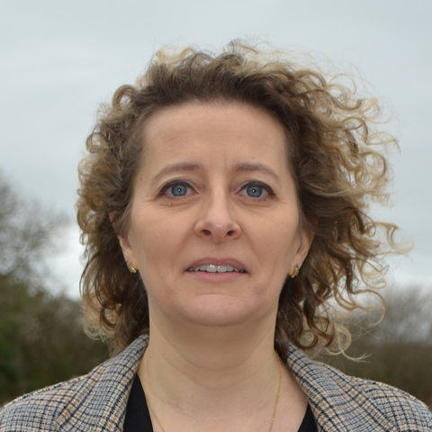 Image par défaut