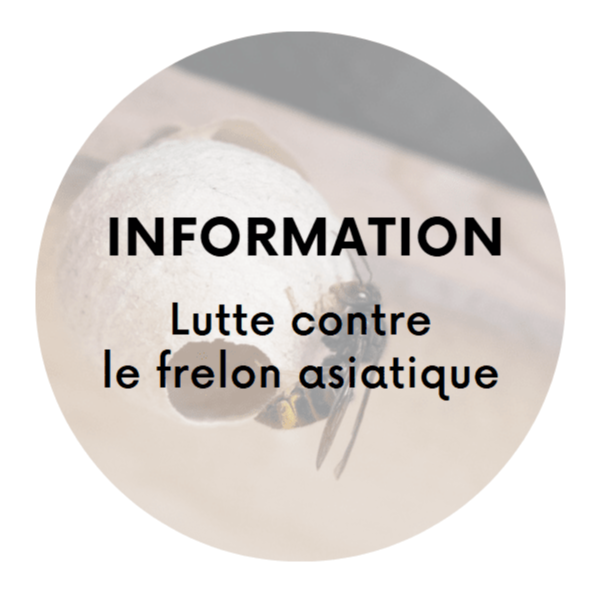 Image par défaut