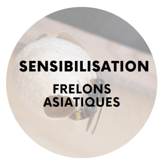 Image par défaut