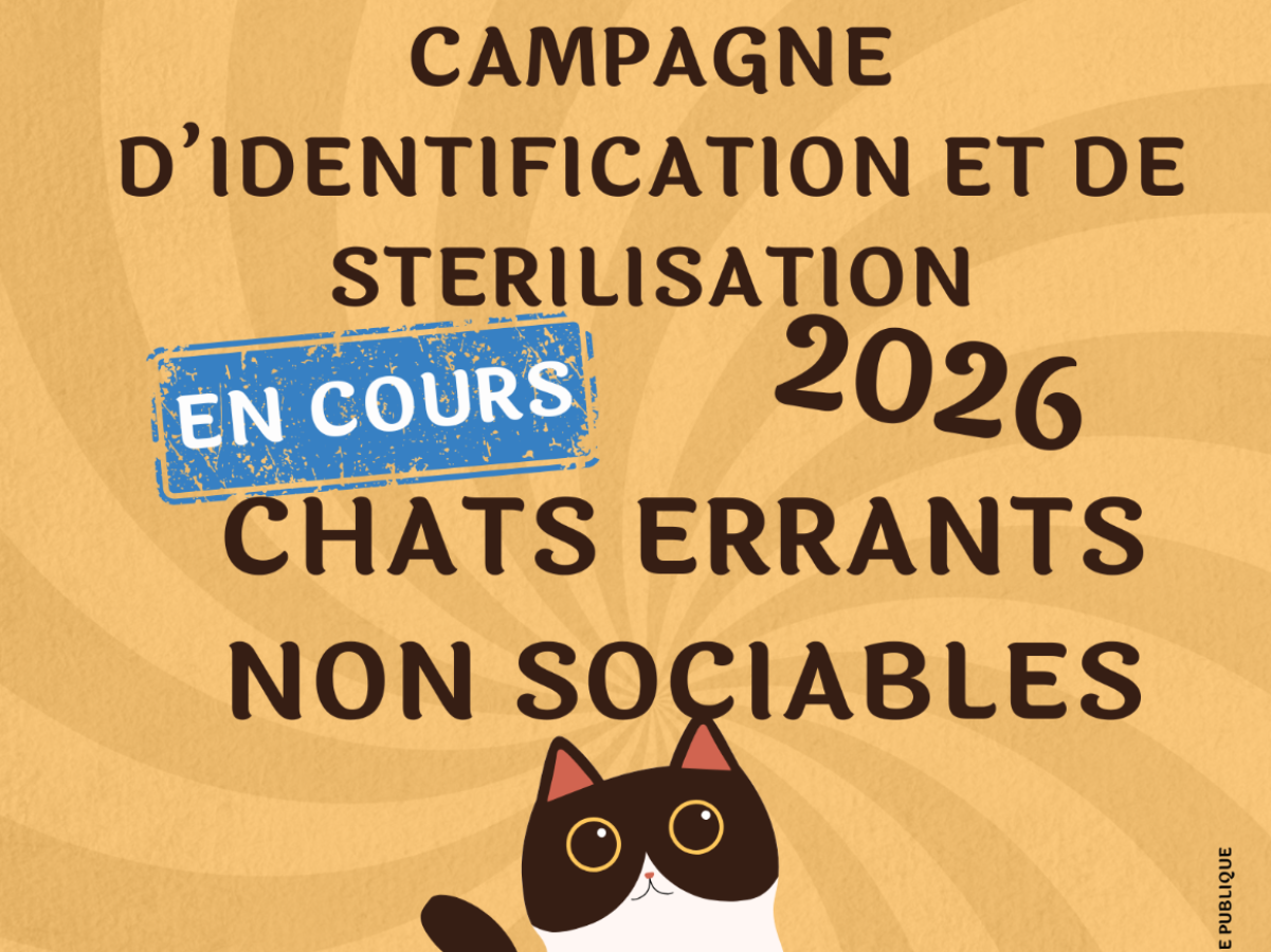 Image par défaut