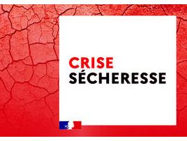 Image par défaut