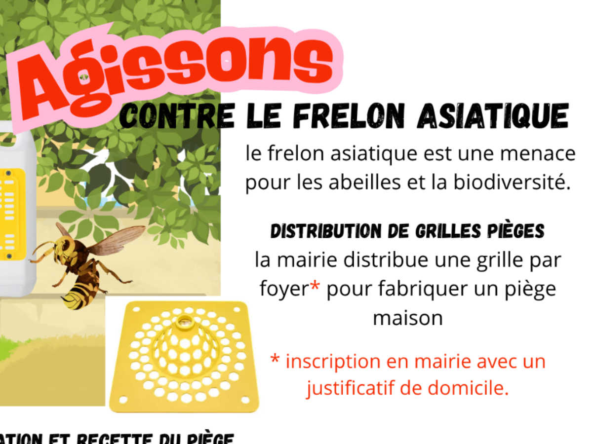 Image par défaut