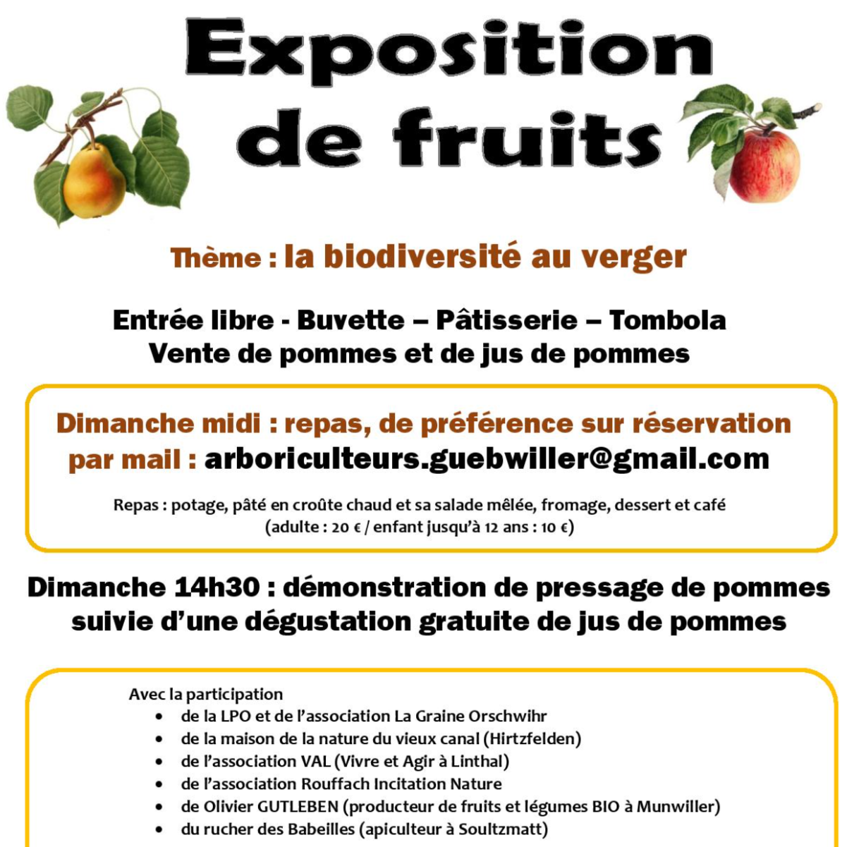 Image par défaut