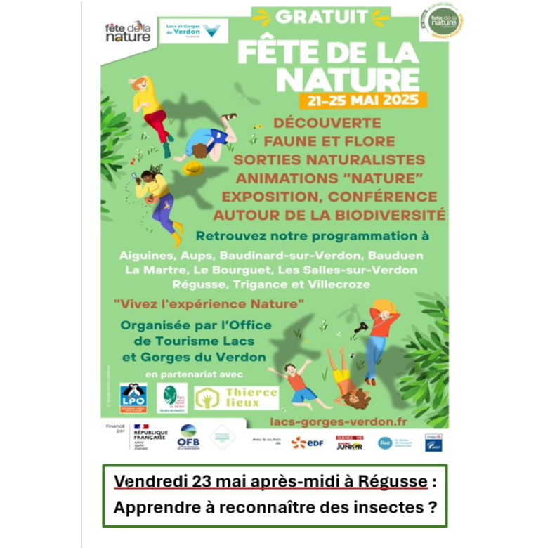 Image par défaut