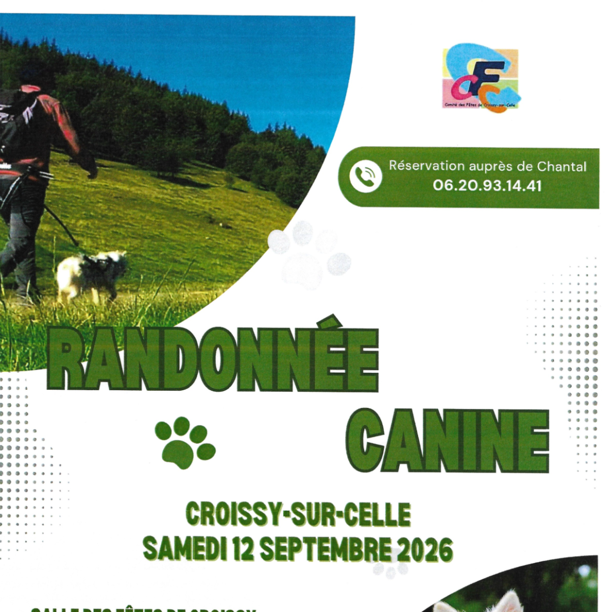 Randonnée canine