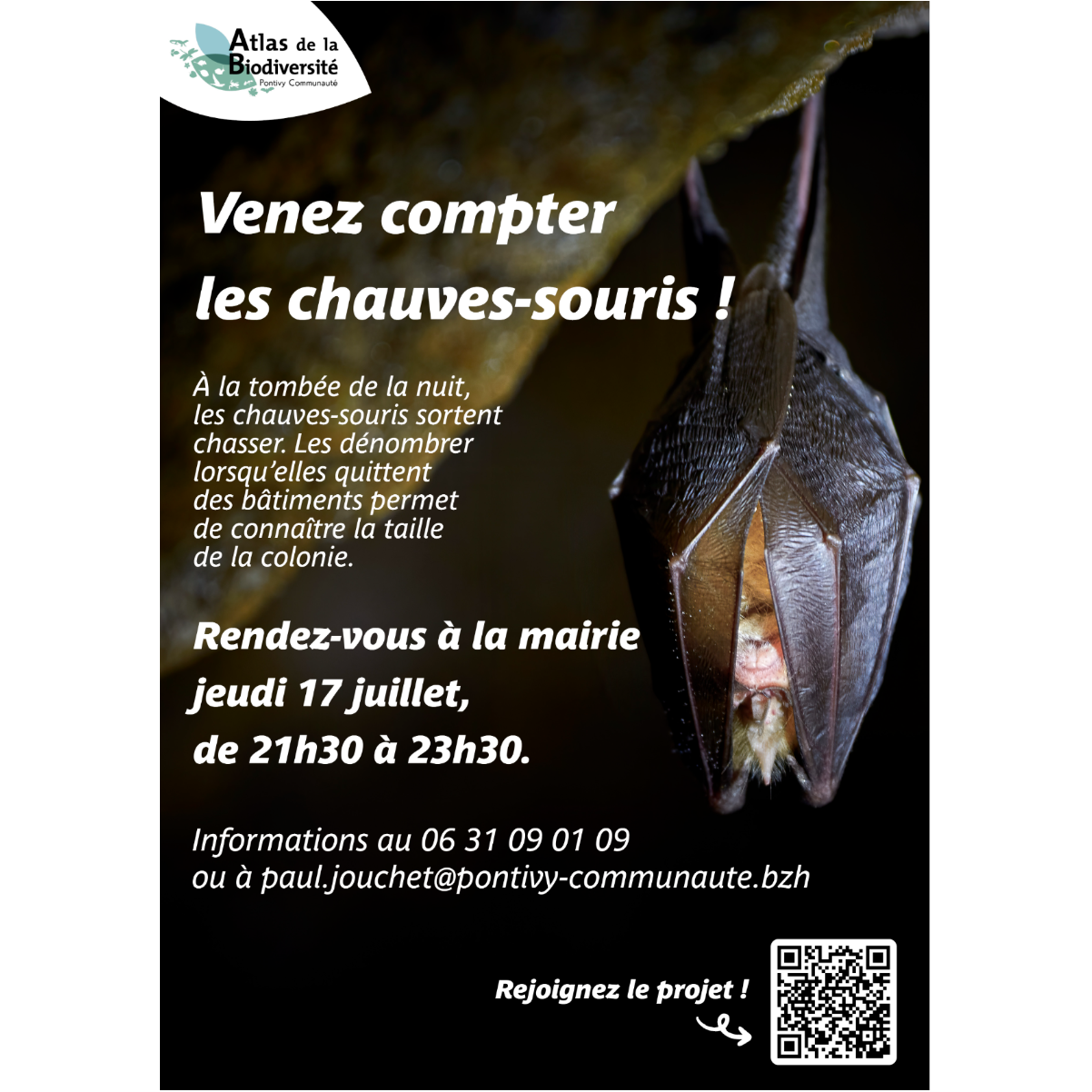 Image par défaut