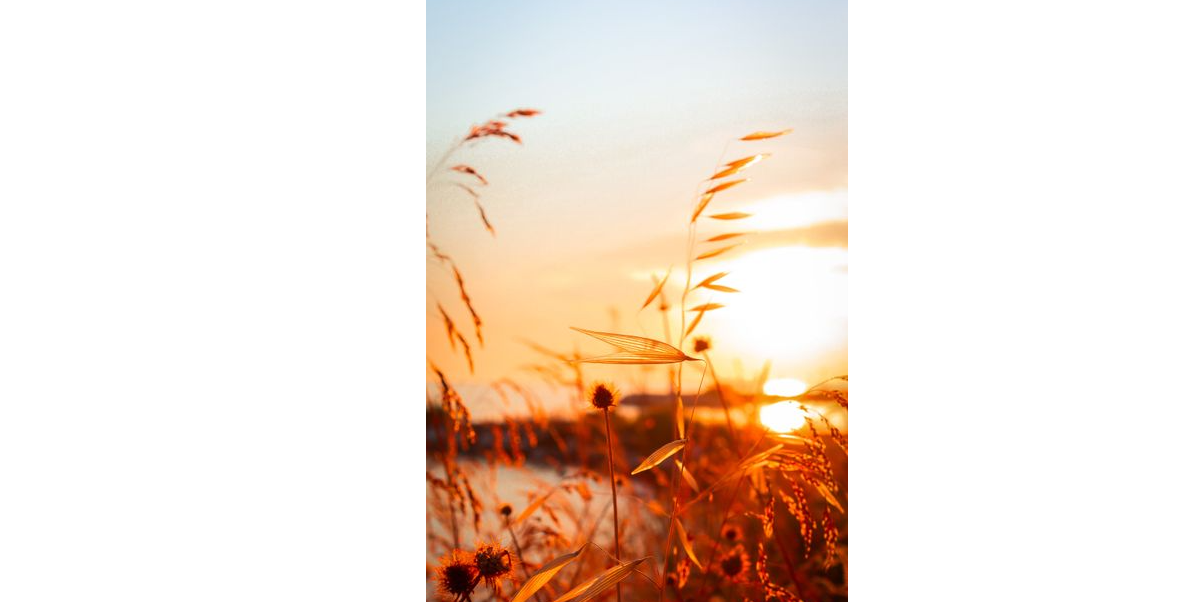 Bel été
