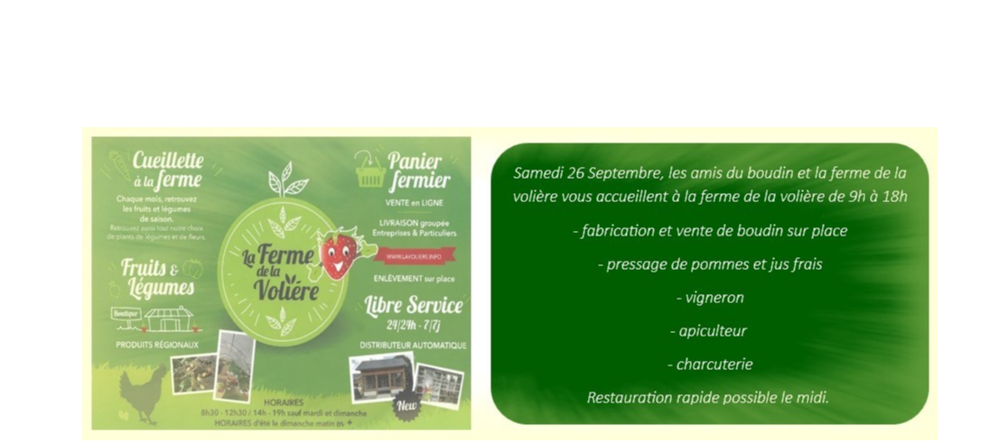 Vente de Boudin