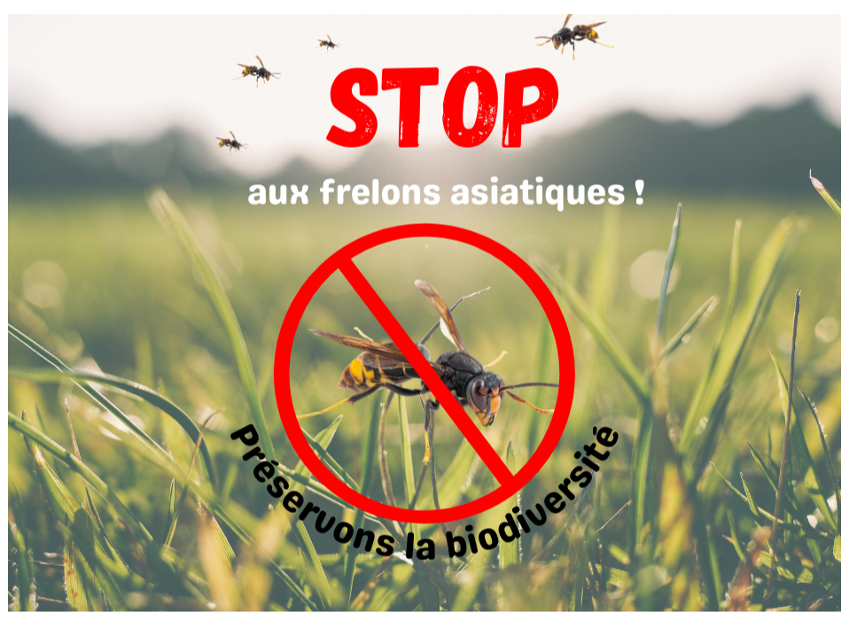 Image par défaut