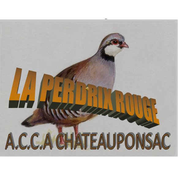 Image par défaut