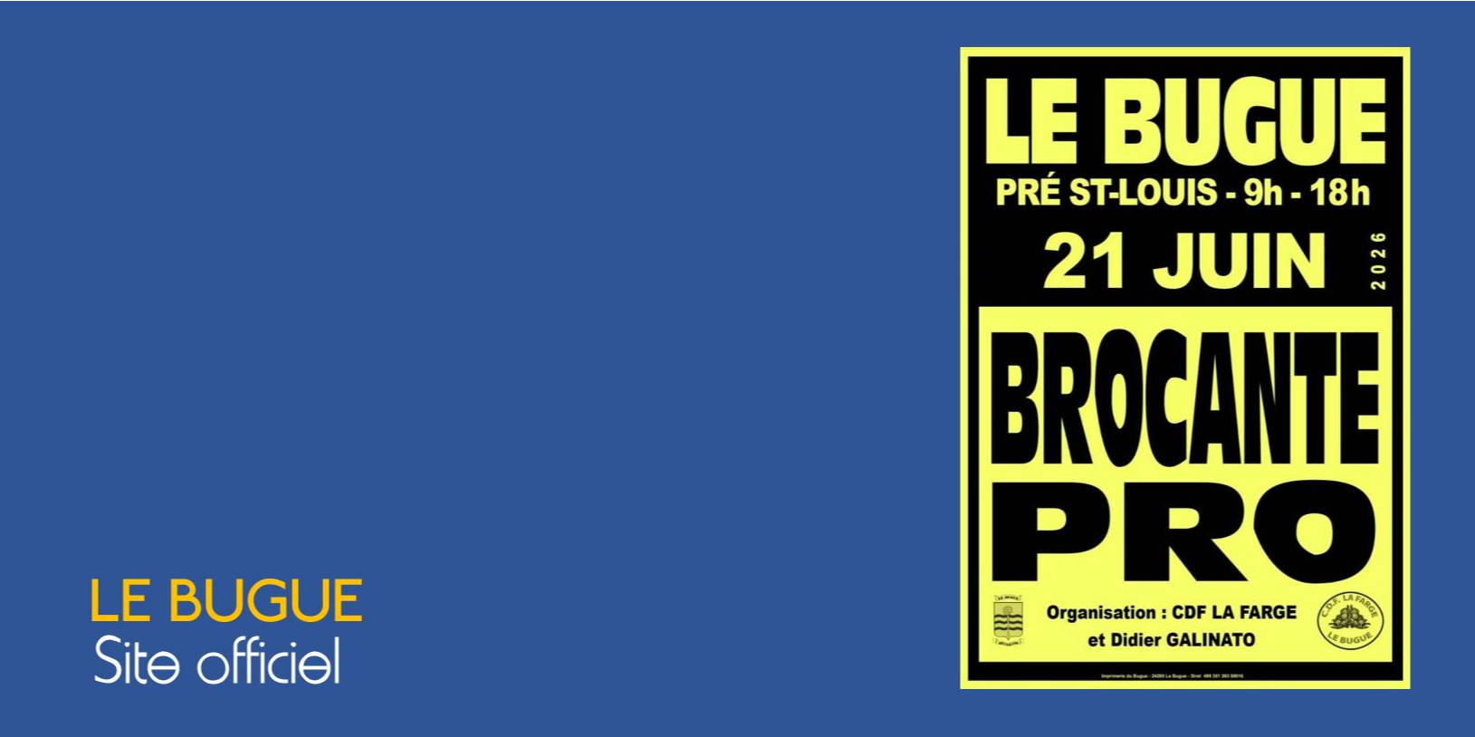 BROCANTE PROFESSIONNELLE