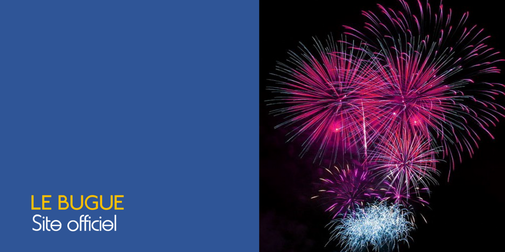 GRANDS FEUX D'ARTIFICES DE LA SAINT-LOUIS