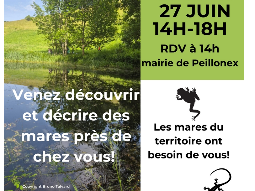 Image par défaut