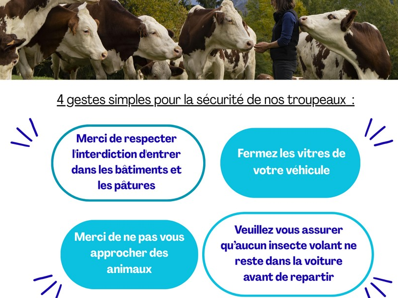 Image par défaut