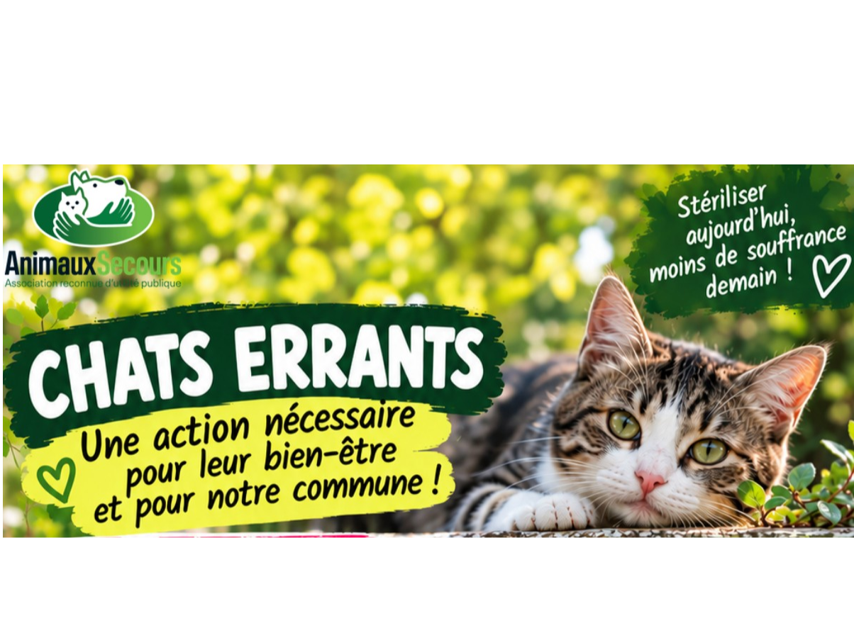 Image par défaut
