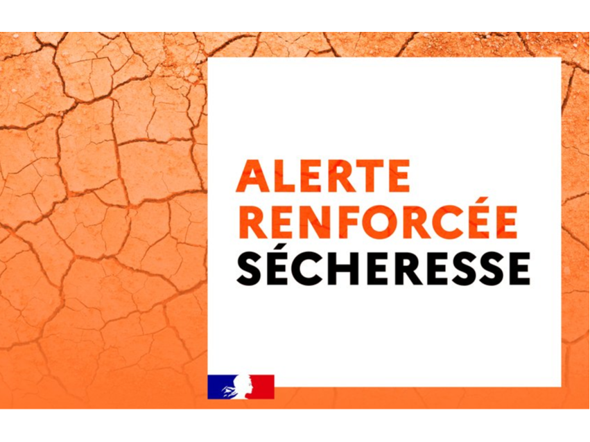 Image par défaut