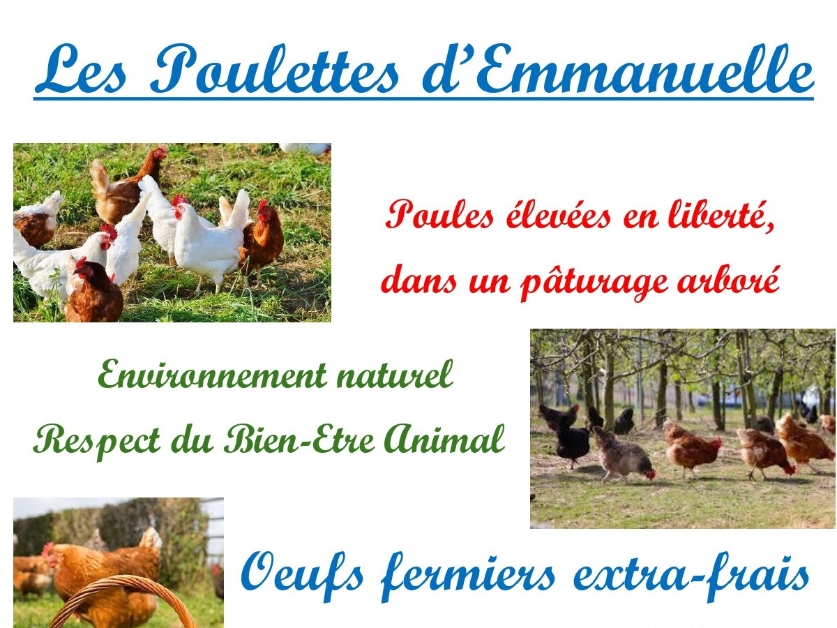 Image par défaut