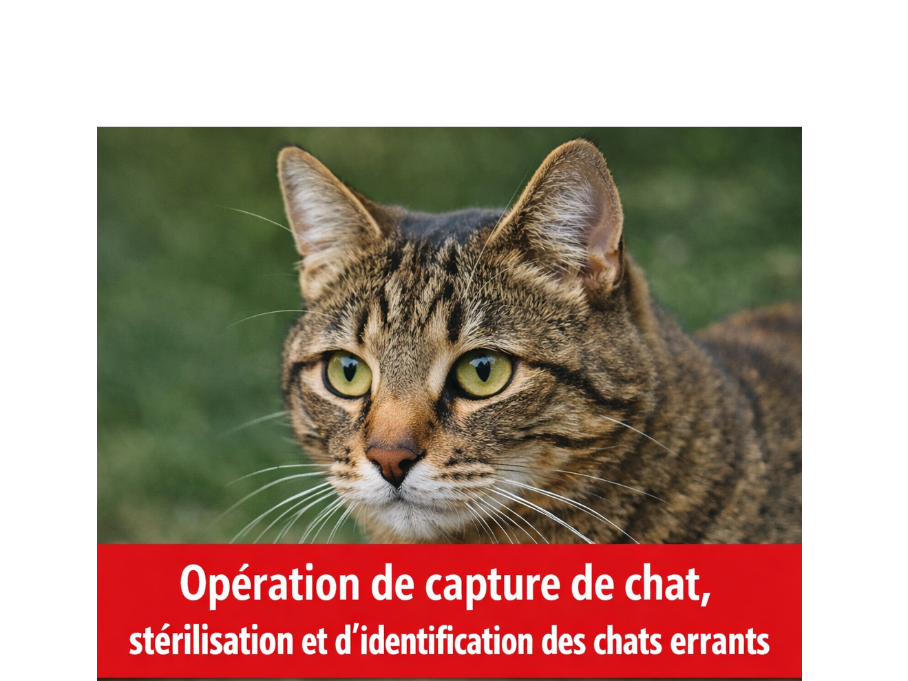 Image par défaut