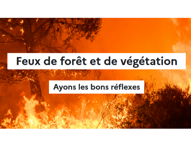 Image par défaut