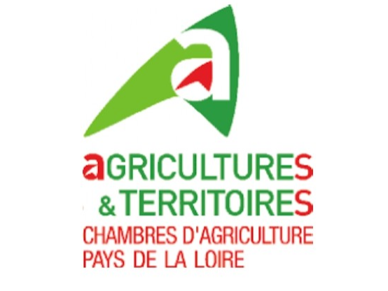 Image par défaut