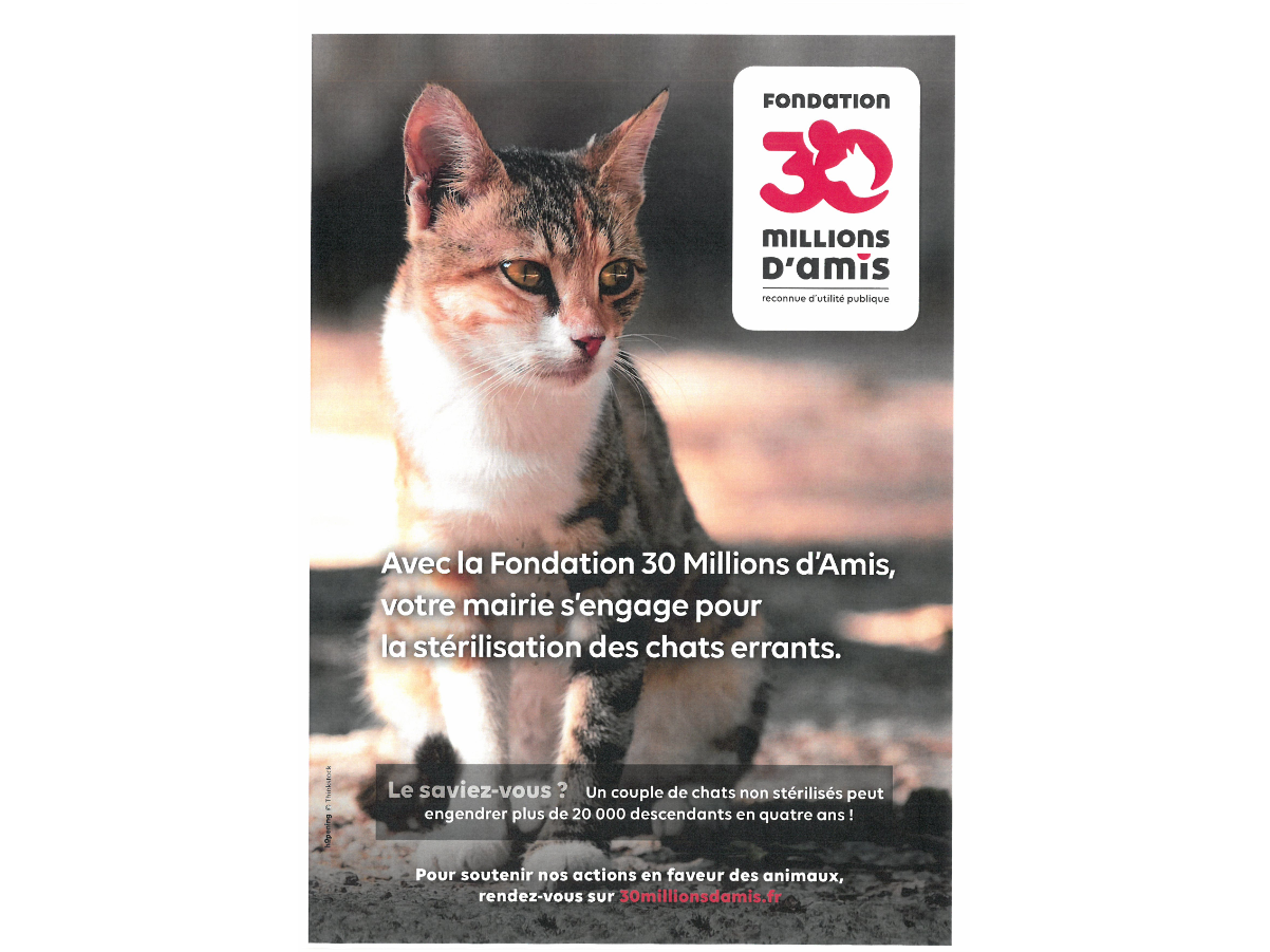 Image par défaut